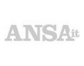 ANSA